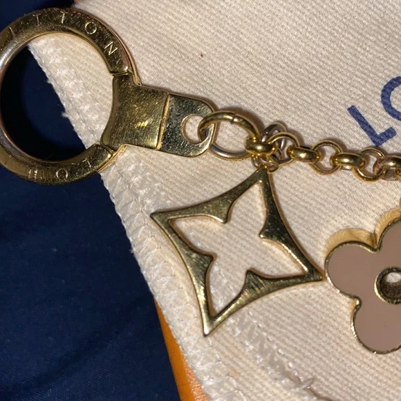 Louis Vuitton Gold Purse Chain